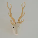 Limba コシチェリスコ