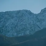 Limba コシチェリスコ