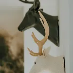 Limba 別荘 コシチェリスコ